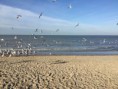/album/fotogalerij/img-0220-jpg/